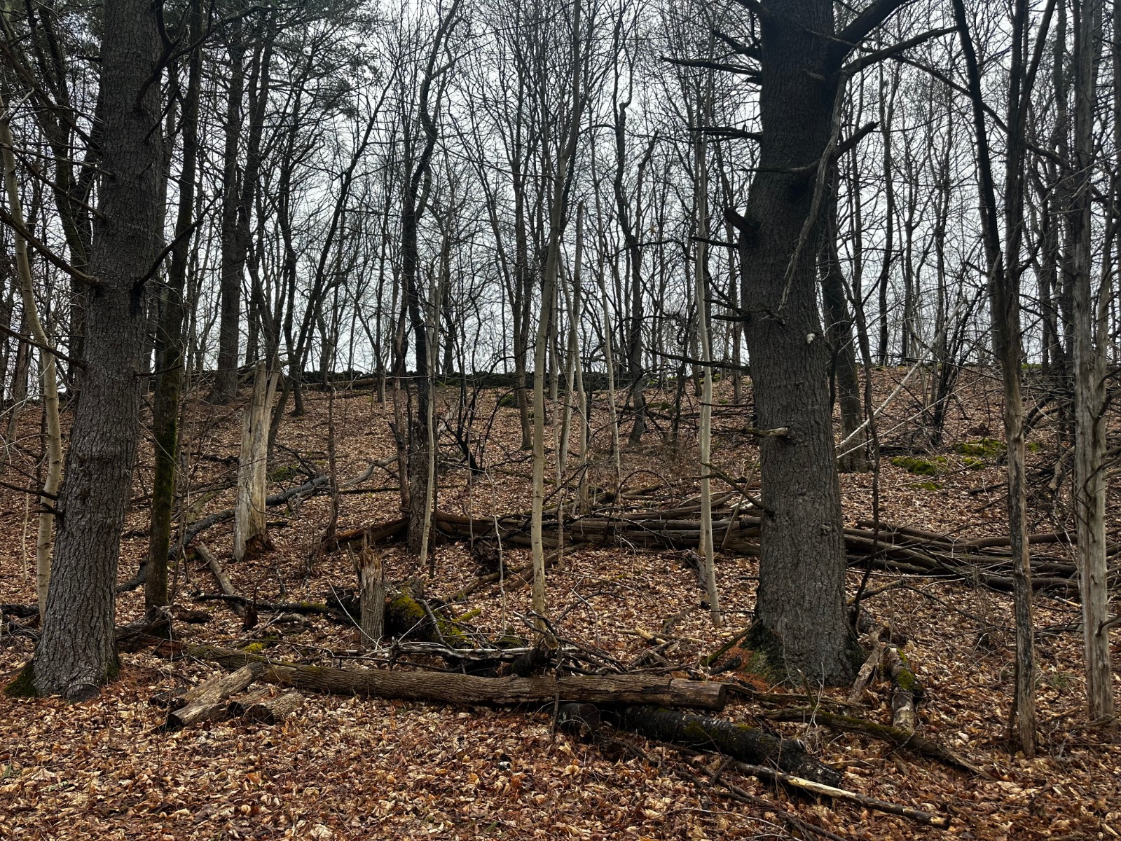 #21 photo, 189  County Route 26, Coxsackie , NY 12042