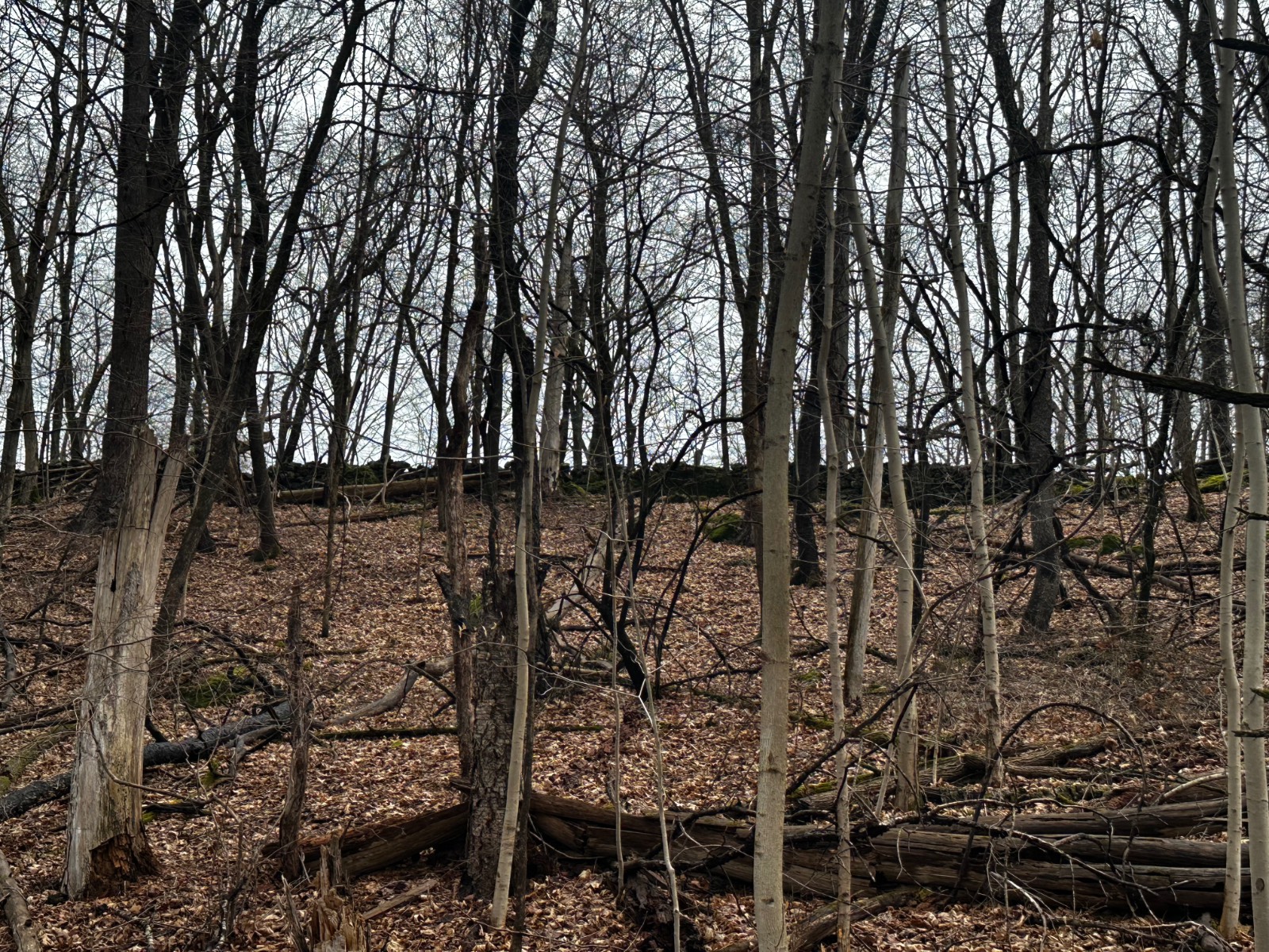 #22 photo, 189  County Route 26, Coxsackie , NY 12042