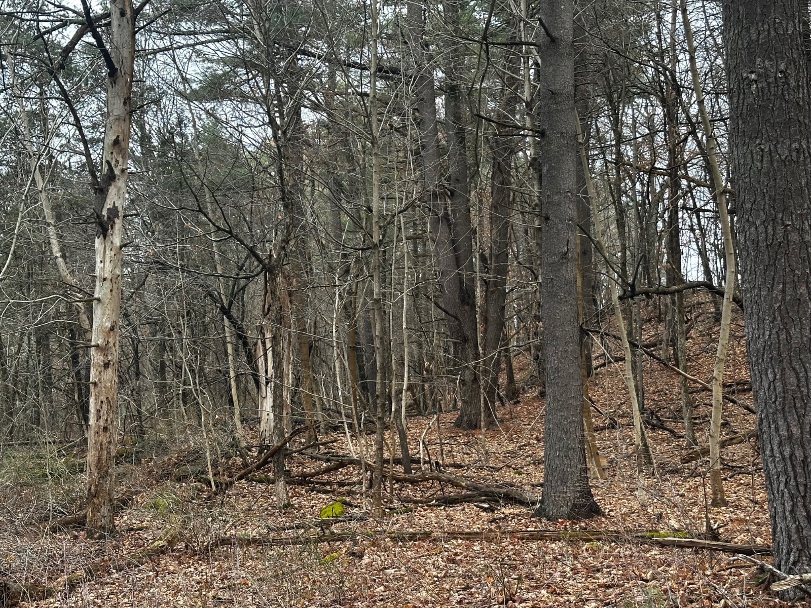 #3 photo, 189  County Route 26, Coxsackie , NY 12042