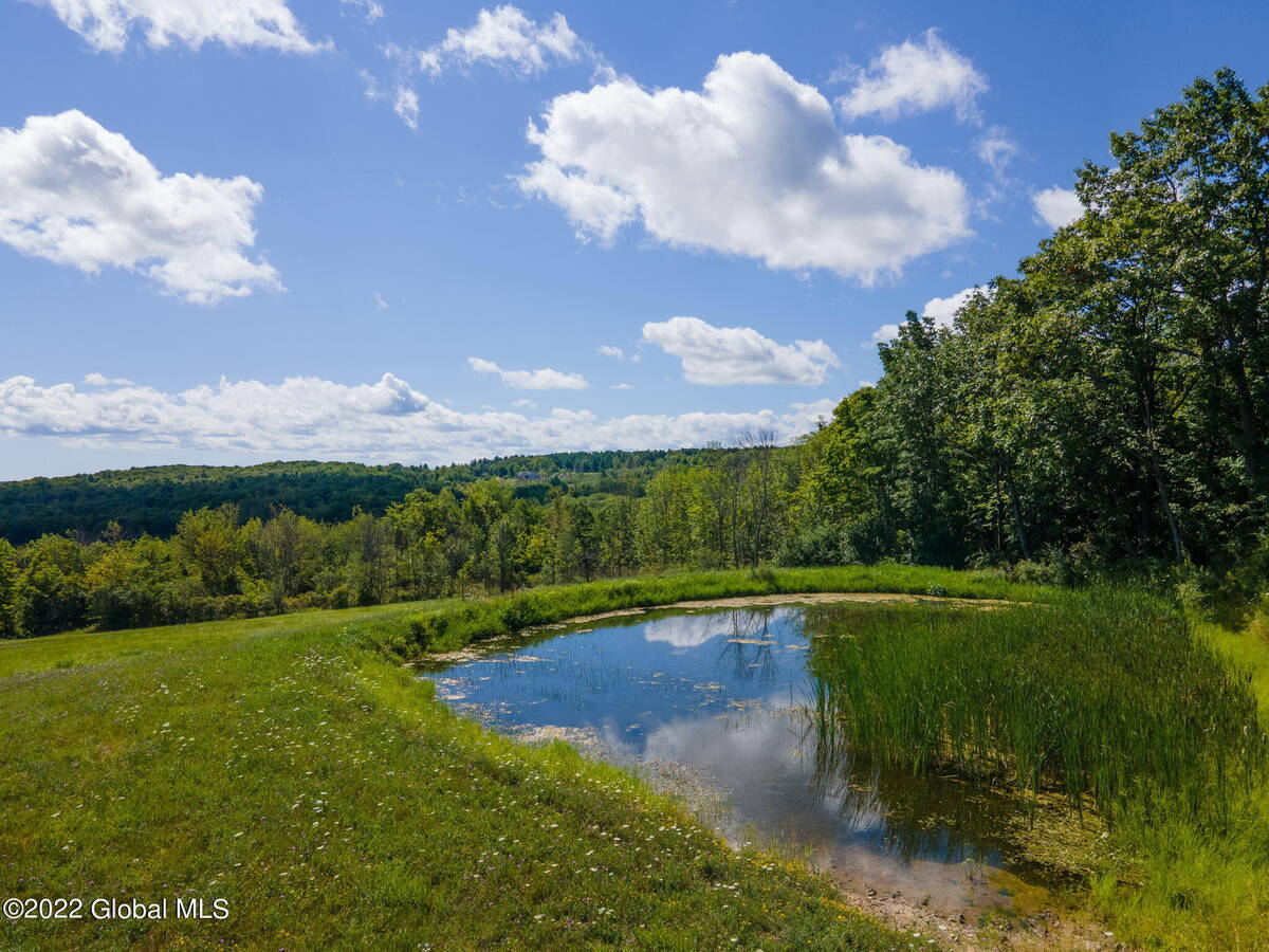 #5 photo, 301 Lape Road, Charleston , NY 12066