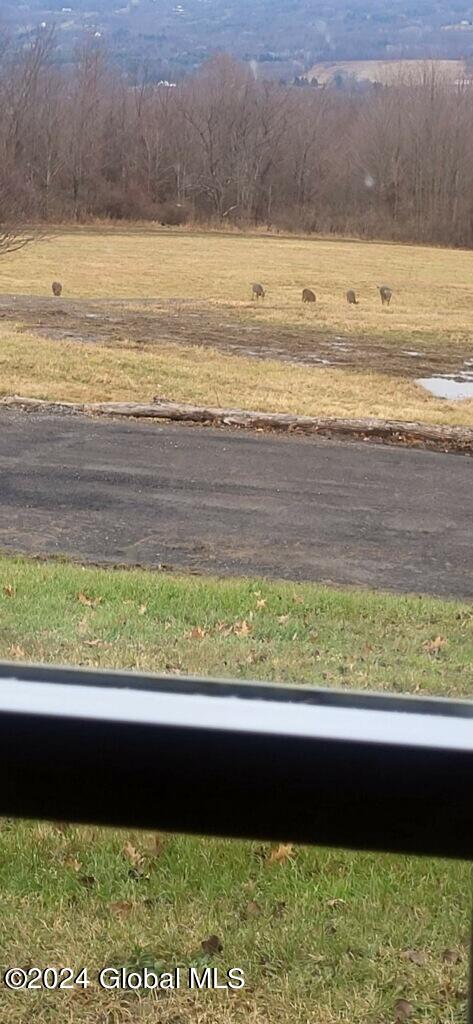 #53 photo, 301 Lape Road, Charleston , NY 12066