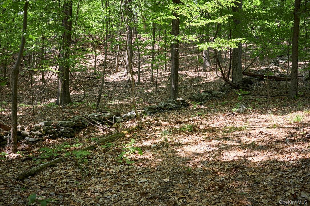 #11 photo, 425 Spring Lake Road, Red Hook , NY 12571