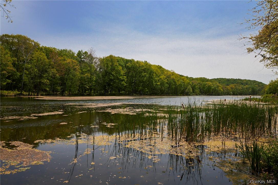 #15 photo, 425 Spring Lake Road, Red Hook , NY 12571