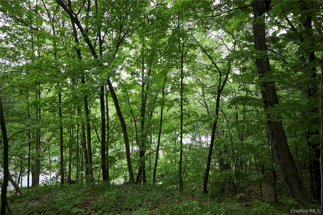 #16 photo, 425 Spring Lake Road, Red Hook , NY 12571