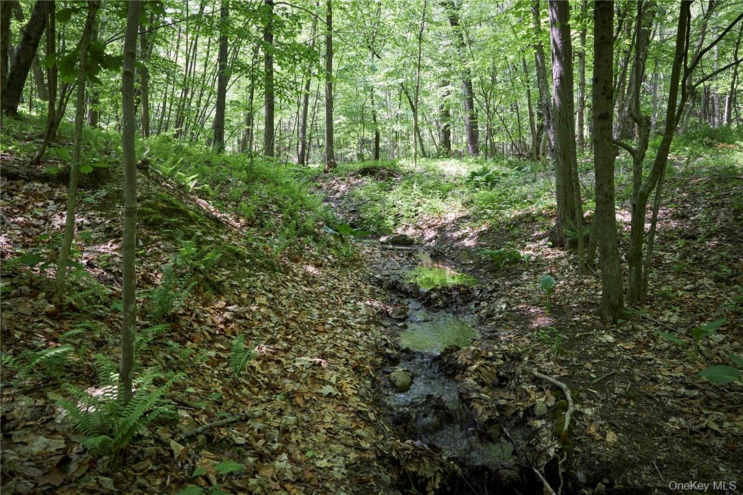 #19 photo, 425 Spring Lake Road, Red Hook , NY 12571