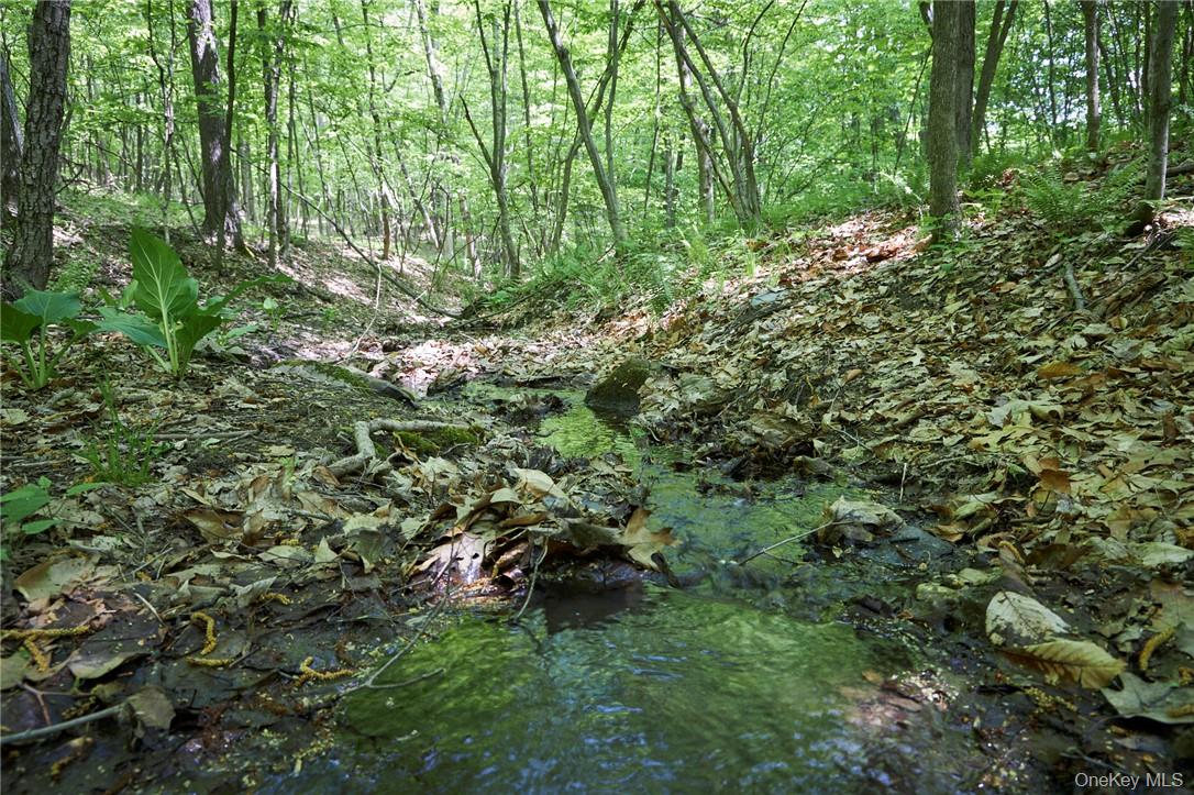 #20 photo, 425 Spring Lake Road, Red Hook , NY 12571