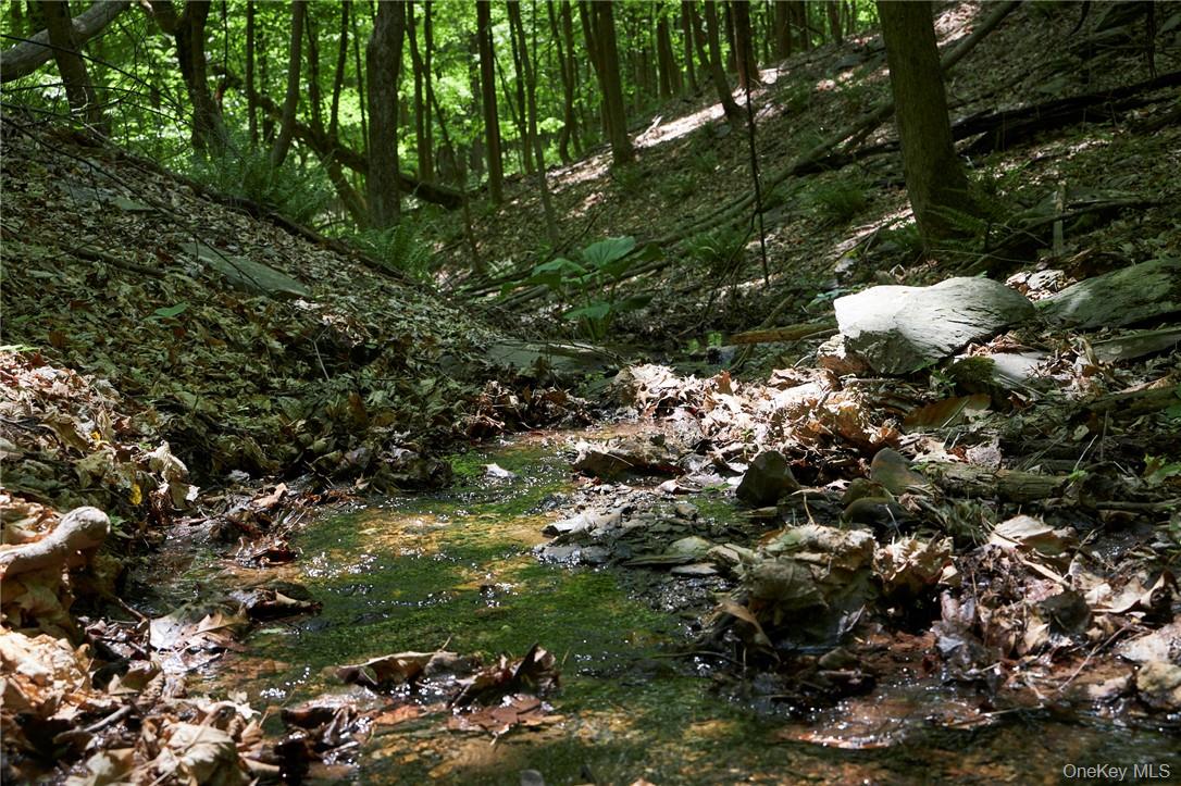 #5 photo, 425 Spring Lake Road, Red Hook , NY 12571