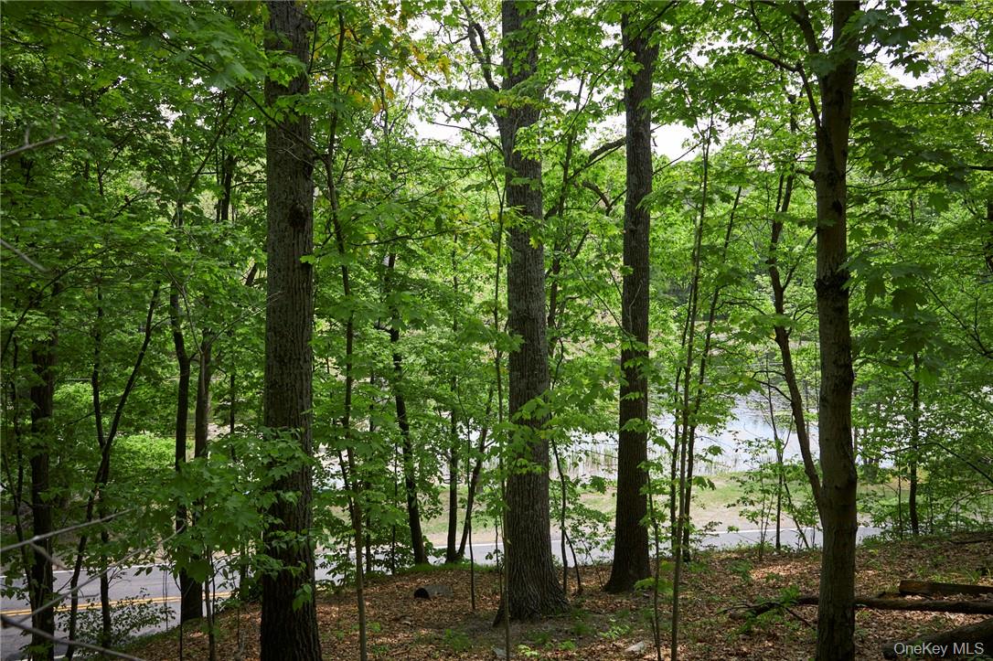 #6 photo, 425 Spring Lake Road, Red Hook , NY 12571