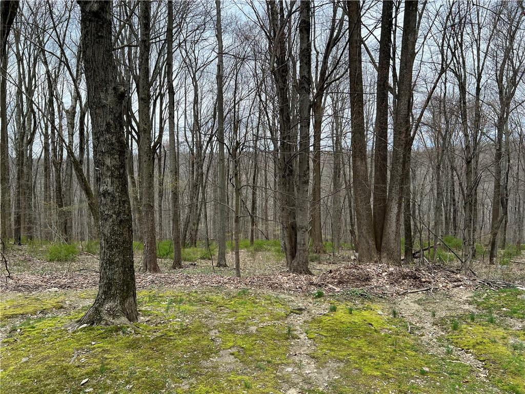 #7 photo, 3032 Manor Street, Yorktown Heights , NY 10598