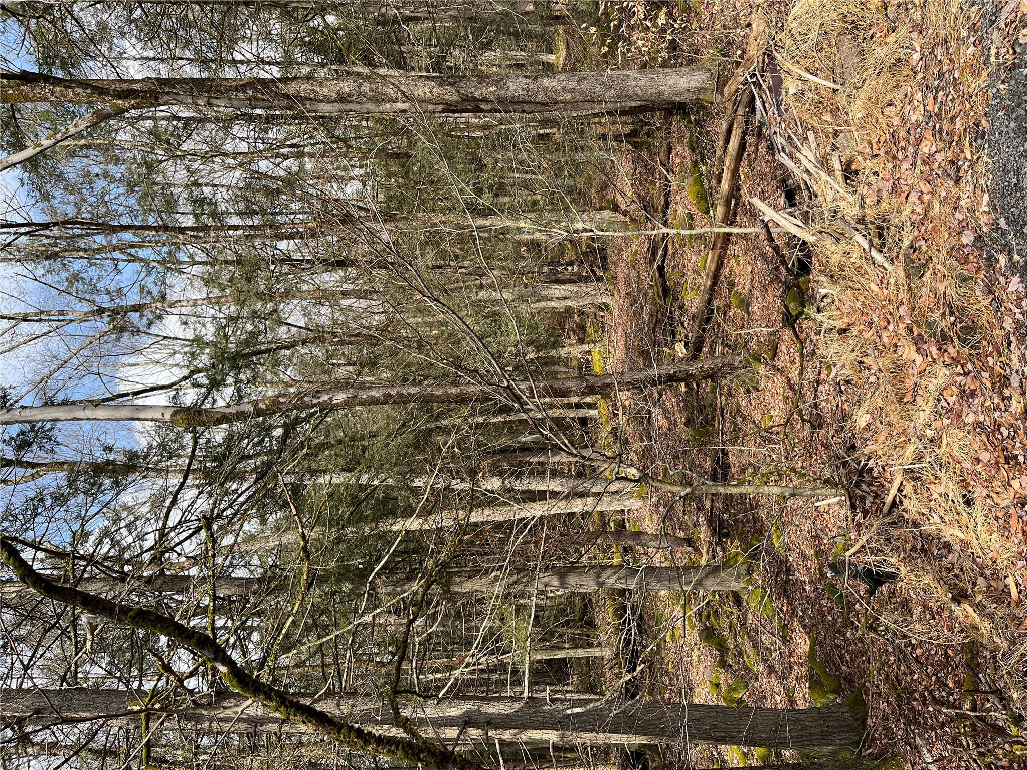 #2 photo, Leins Road, Fallsburg, NY Leins Road, 紐約州 Fallsburg , NY 12733