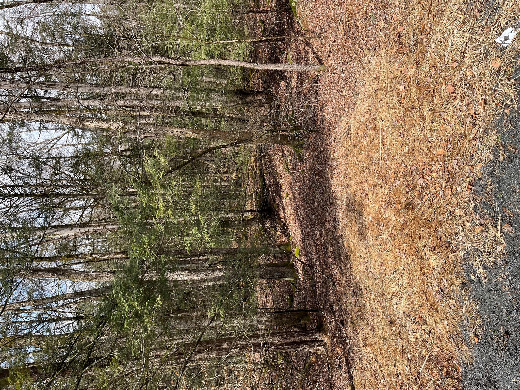 #4 photo, Leins Road, Fallsburg, NY Leins Road, 紐約州 Fallsburg , NY 12733