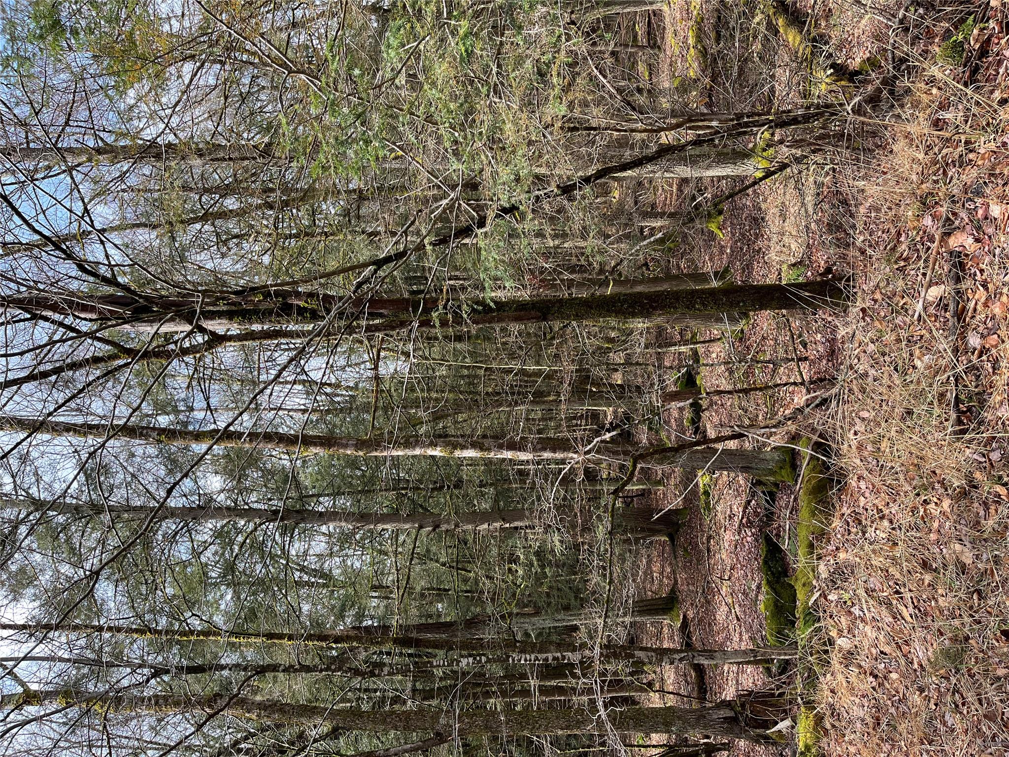 #5 photo, Leins Road, Fallsburg, NY Leins Road, 紐約州 Fallsburg , NY 12733