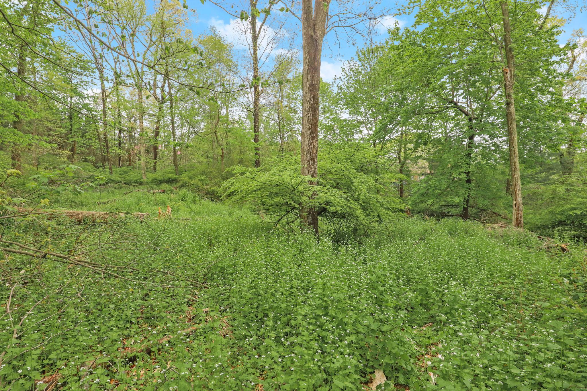 #2 photo, 32-3 Orchard Drive, Armonk , NY 10504