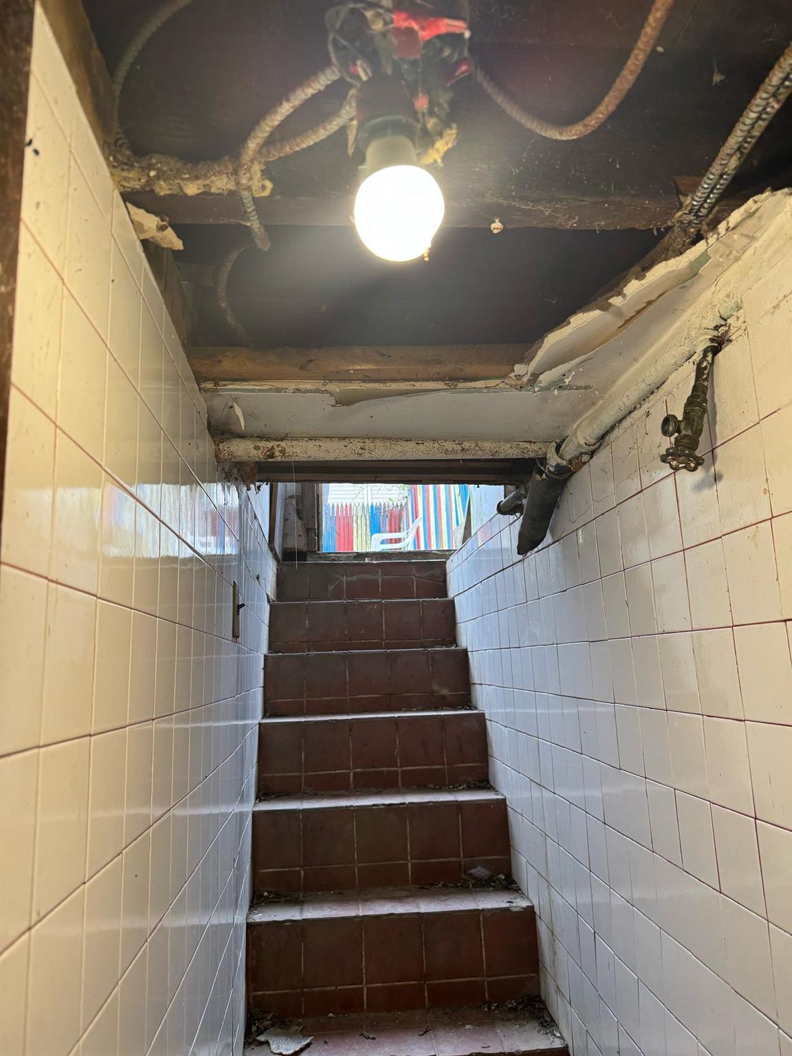 #13 photo, 1242 Saint Lawrence Avenue, ブロンクス区 Bronx , NY 10472