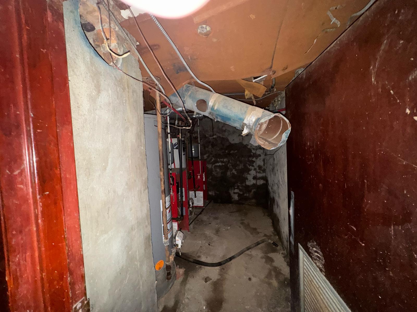 #6 photo, 1242 Saint Lawrence Avenue, ブロンクス区 Bronx , NY 10472