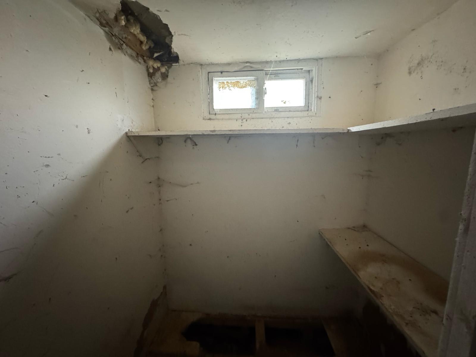 #8 photo, 1242 Saint Lawrence Avenue, ブロンクス区 Bronx , NY 10472