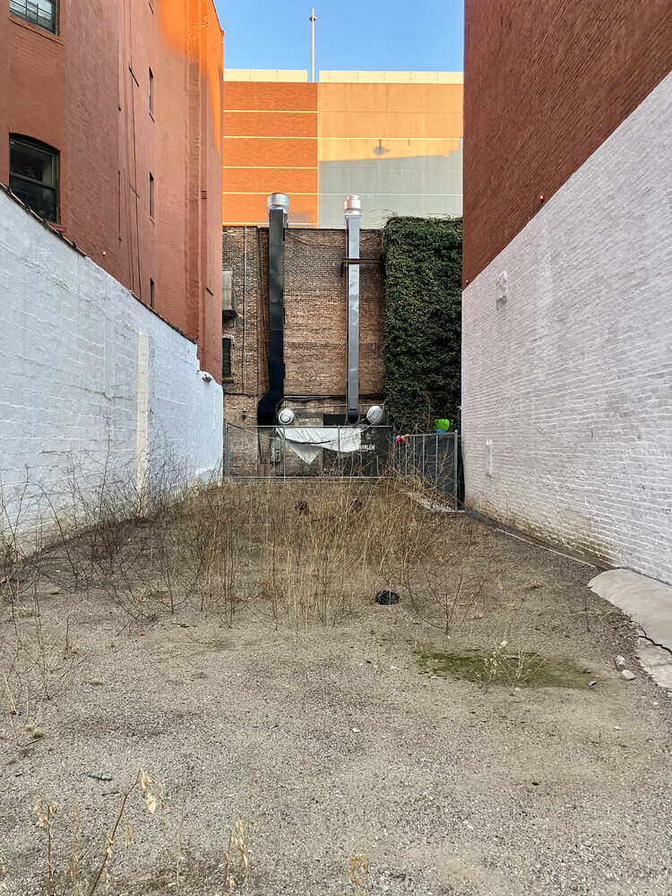 #6 photo, 316 PLEASANT Avenue, マンハッタン East Harlem , NY 10035