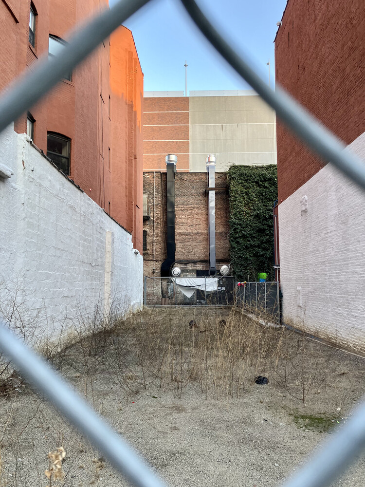 #8 photo, 316 PLEASANT Avenue, マンハッタン East Harlem , NY 10035