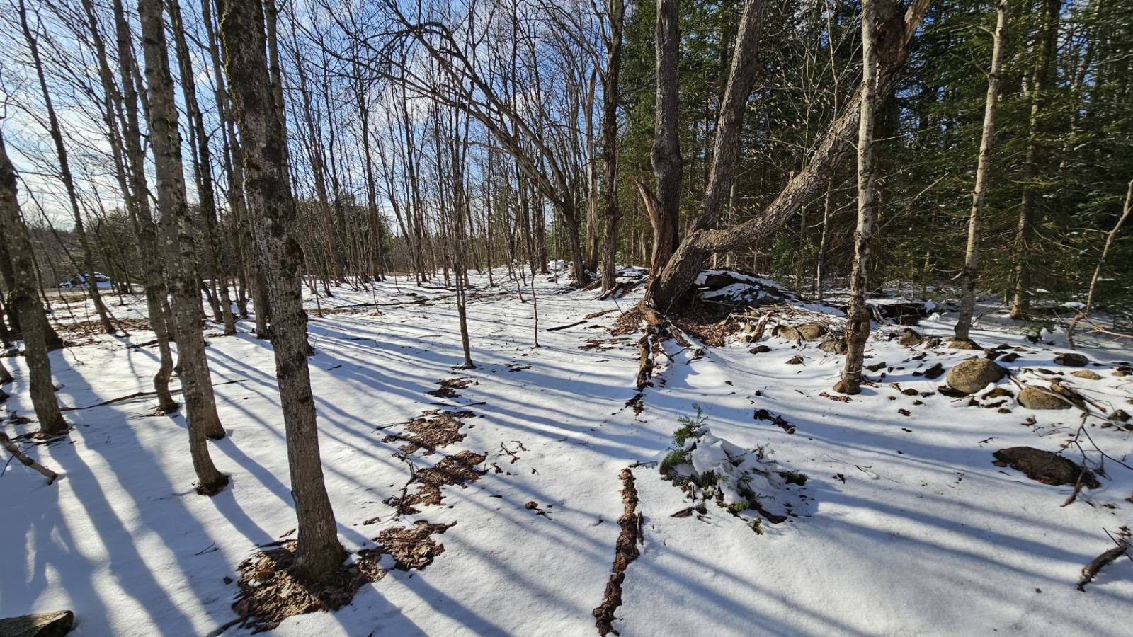 #15 photo, 1316 William Ernst Rd, West Leyden , NY 13489