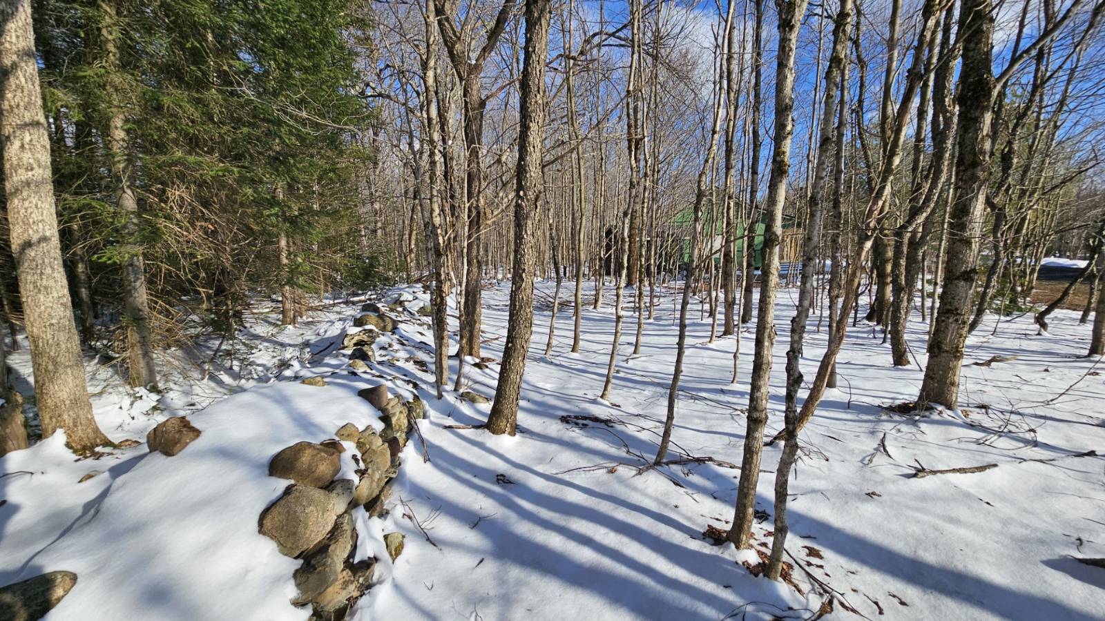 #16 photo, 1316 William Ernst Rd, West Leyden , NY 13489