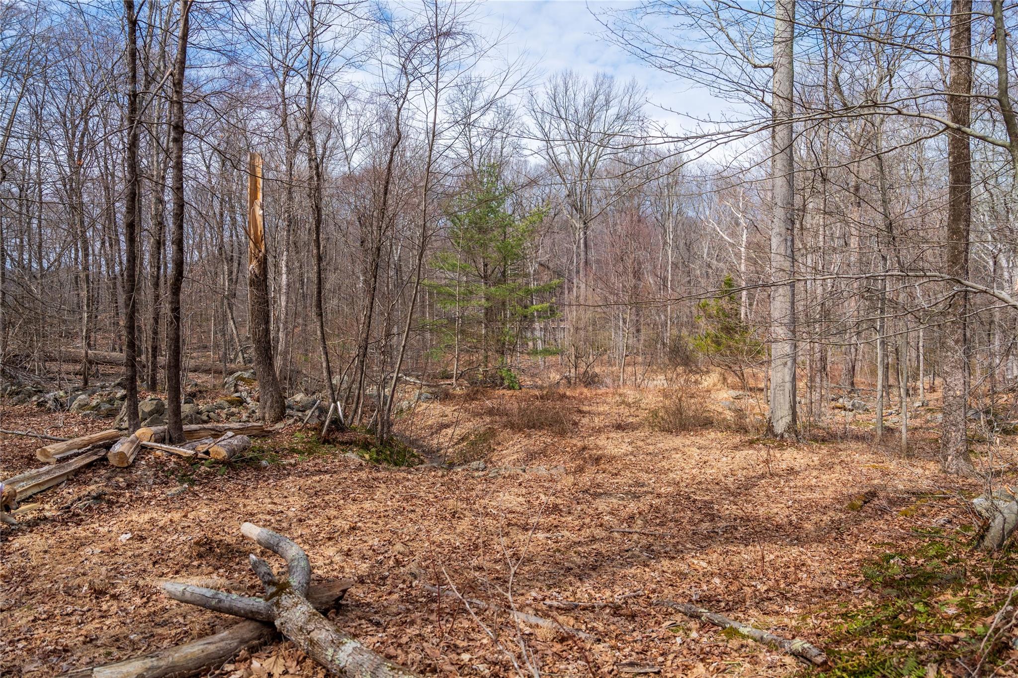 #11 photo, 22 Joshua Hobby Lane, Pound Ridge , NY 10576