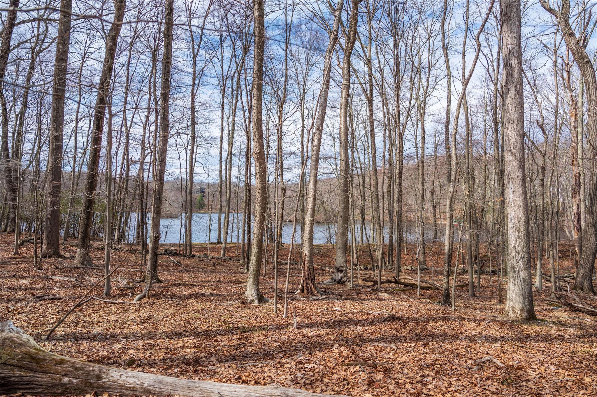 #15 photo, 22 Joshua Hobby Lane, Pound Ridge , NY 10576