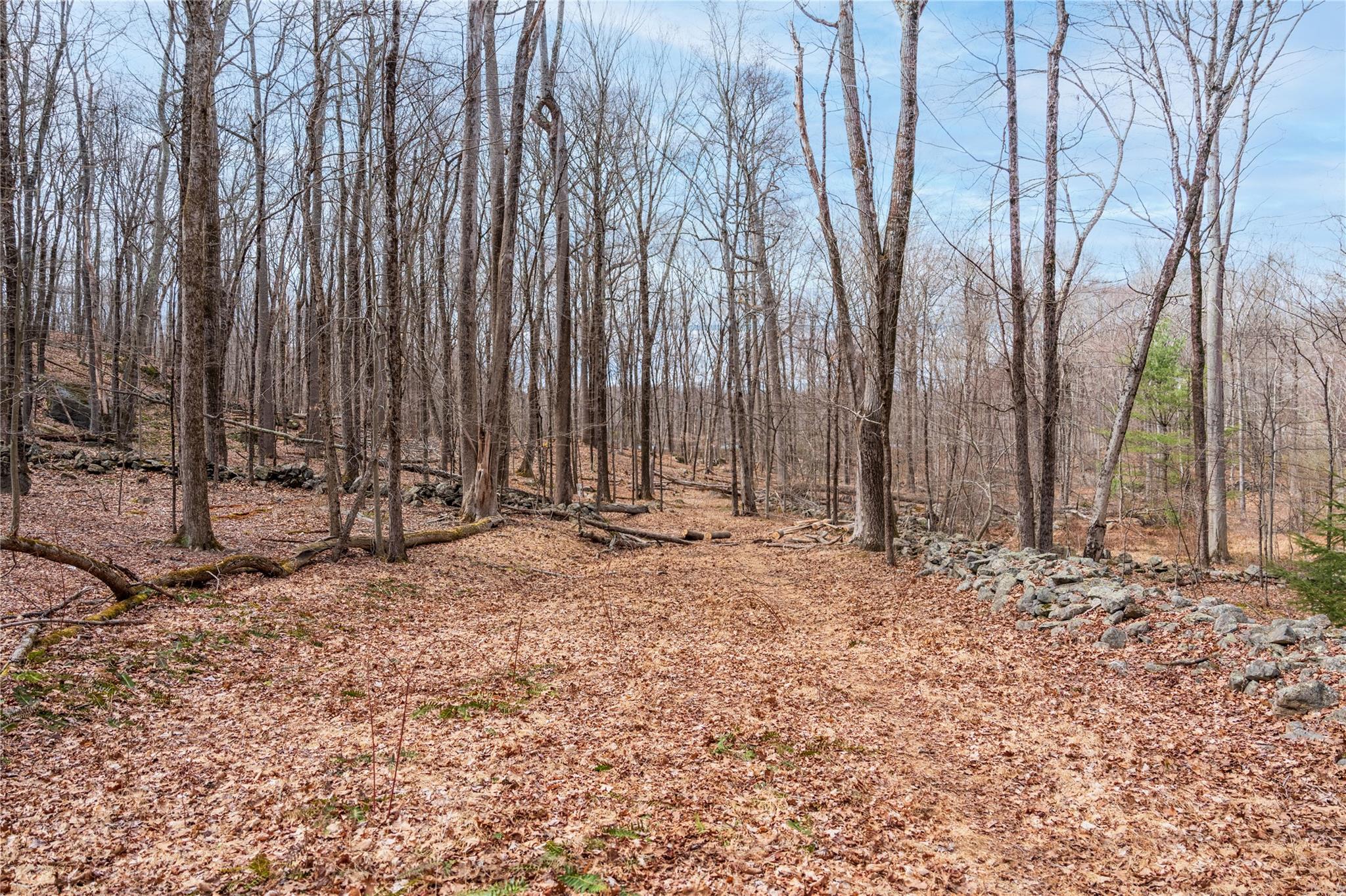 #5 photo, 22 Joshua Hobby Lane, Pound Ridge , NY 10576