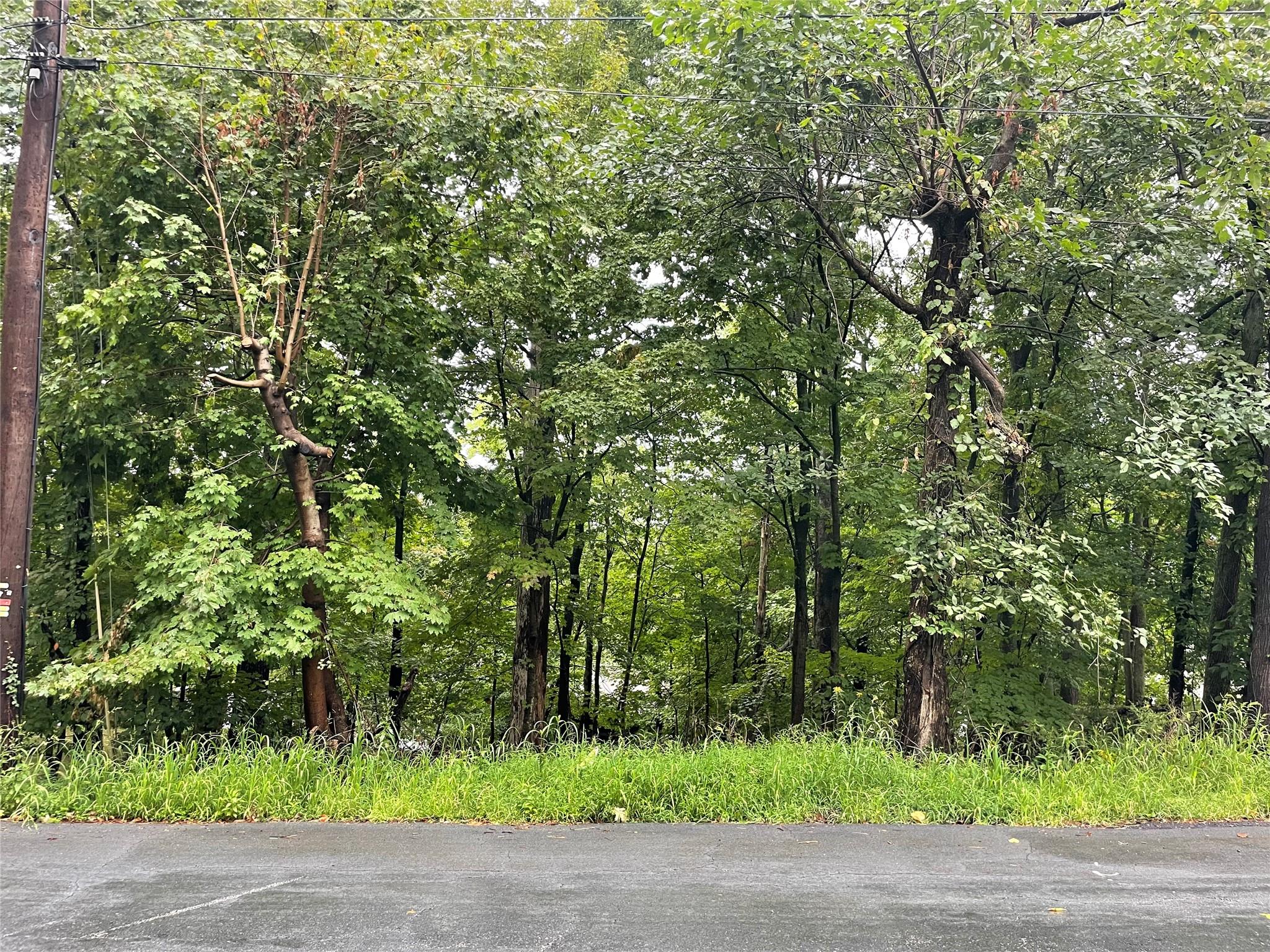 #2 photo, 11 Olympus Road, Woodbury , NY 10930