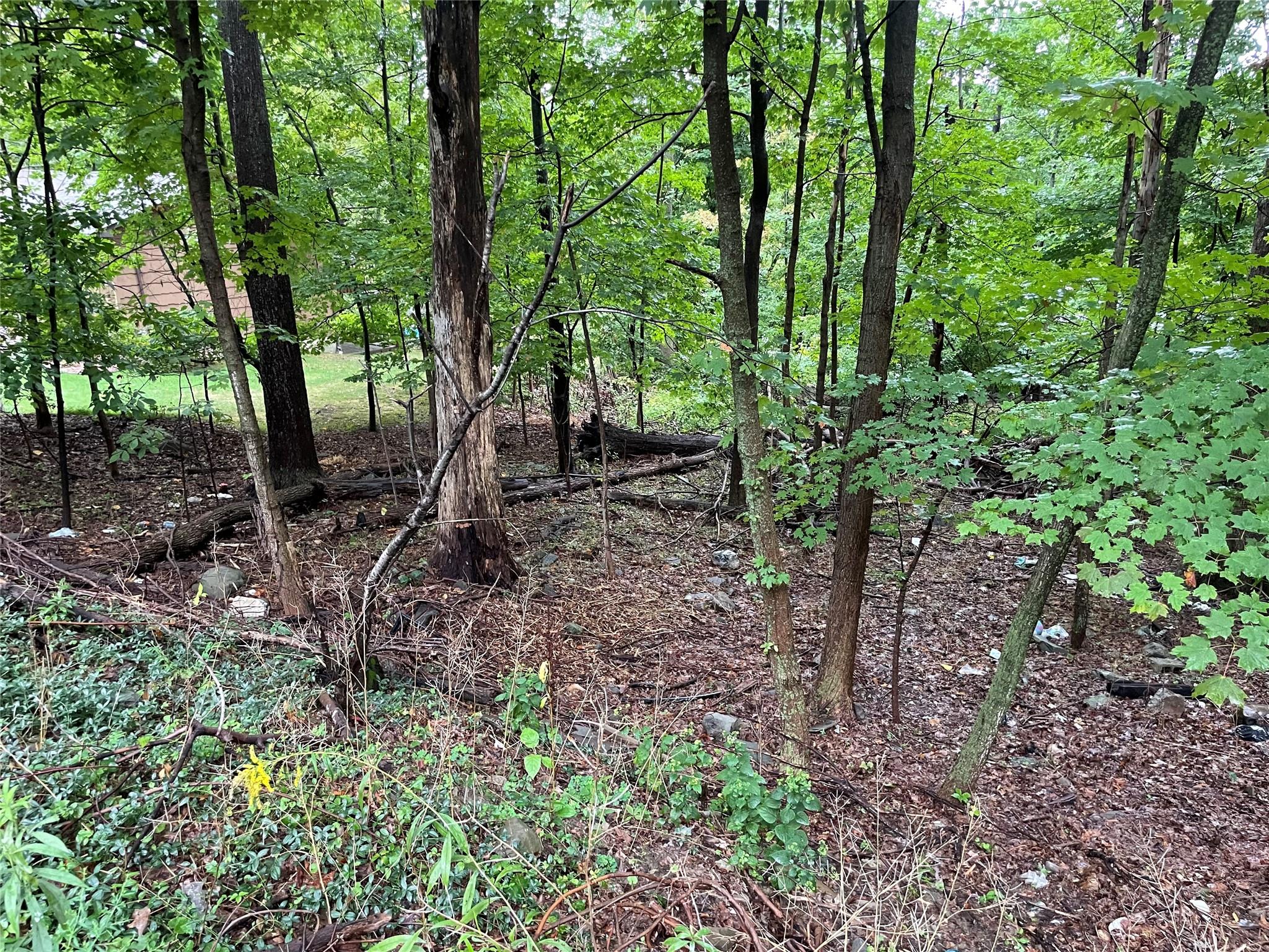 #4 photo, 11 Olympus Road, Woodbury , NY 10930