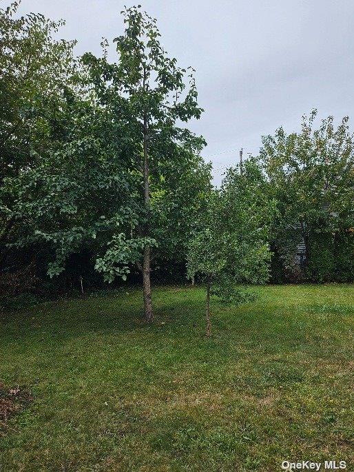 #20 photo, 806 Oliver Avenue, 長島 西布雷 Westbury , NY 11590