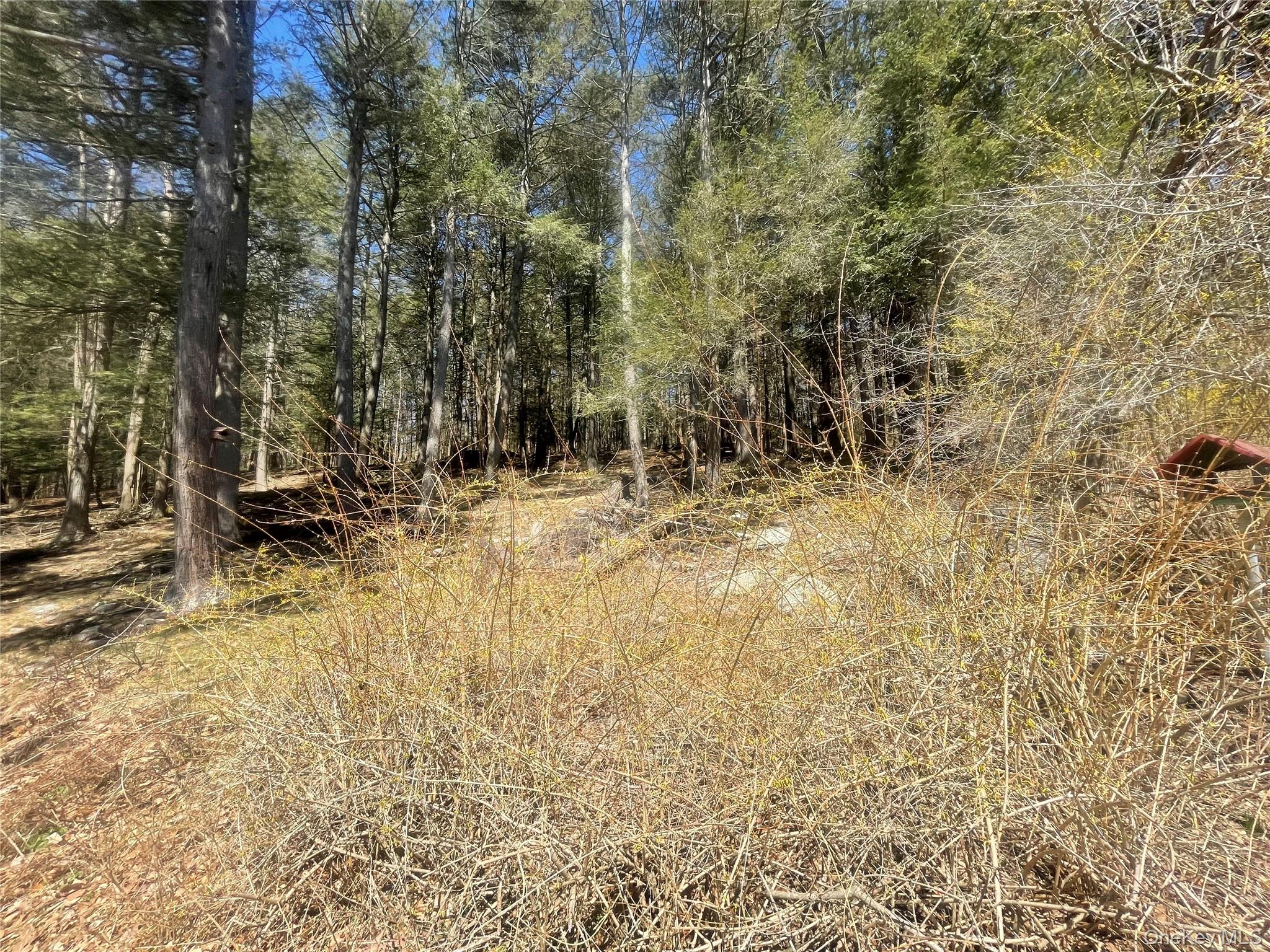 #10 photo, 58 Baker Road, Bearsville , NY 12409