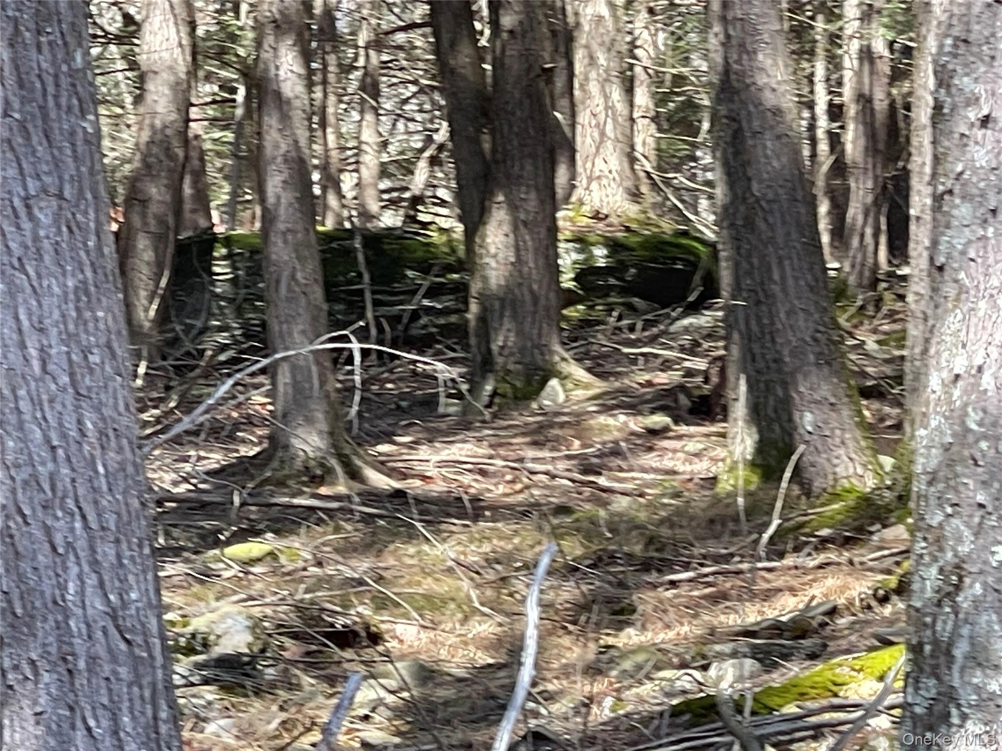 #11 photo, 58 Baker Road, Bearsville , NY 12409