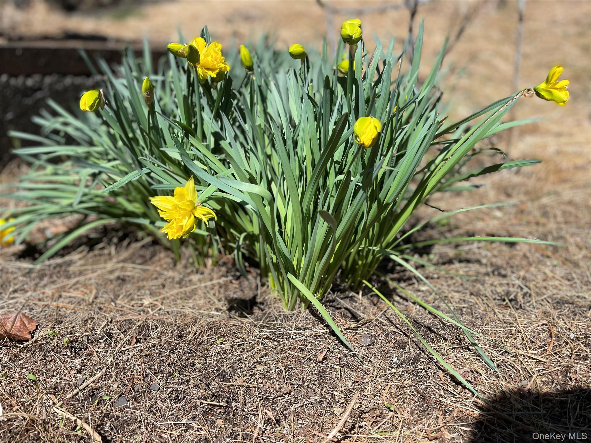 #6 photo, 58 Baker Road, Bearsville , NY 12409