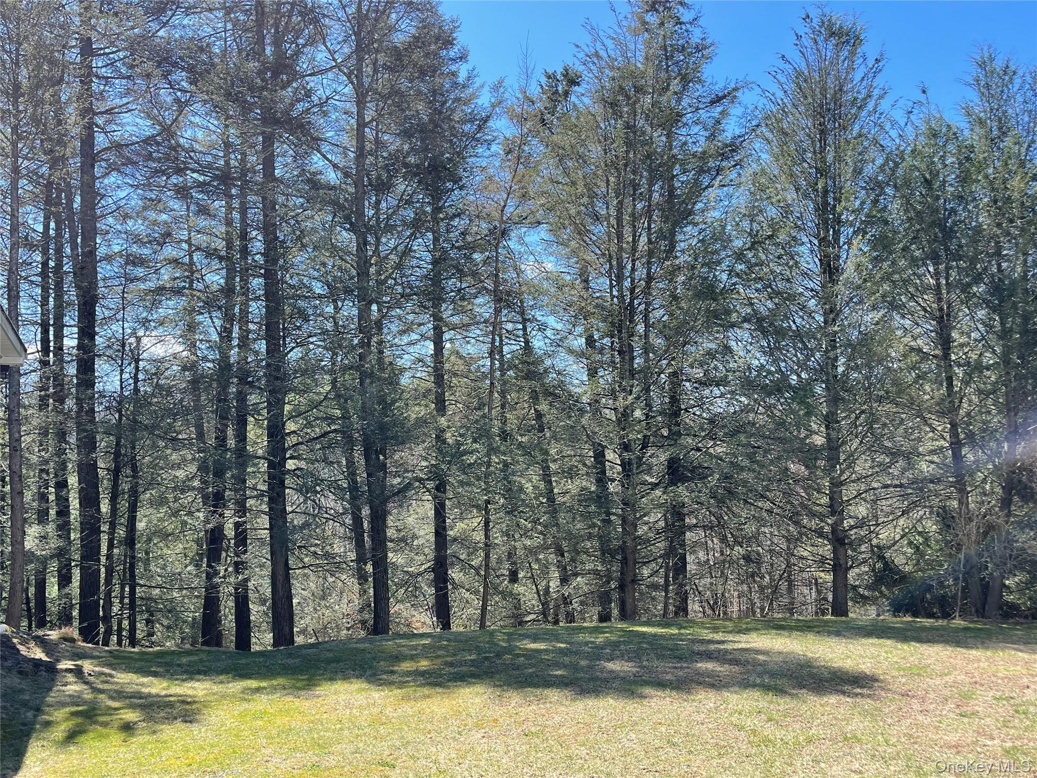 #8 photo, 58 Baker Road, Bearsville , NY 12409