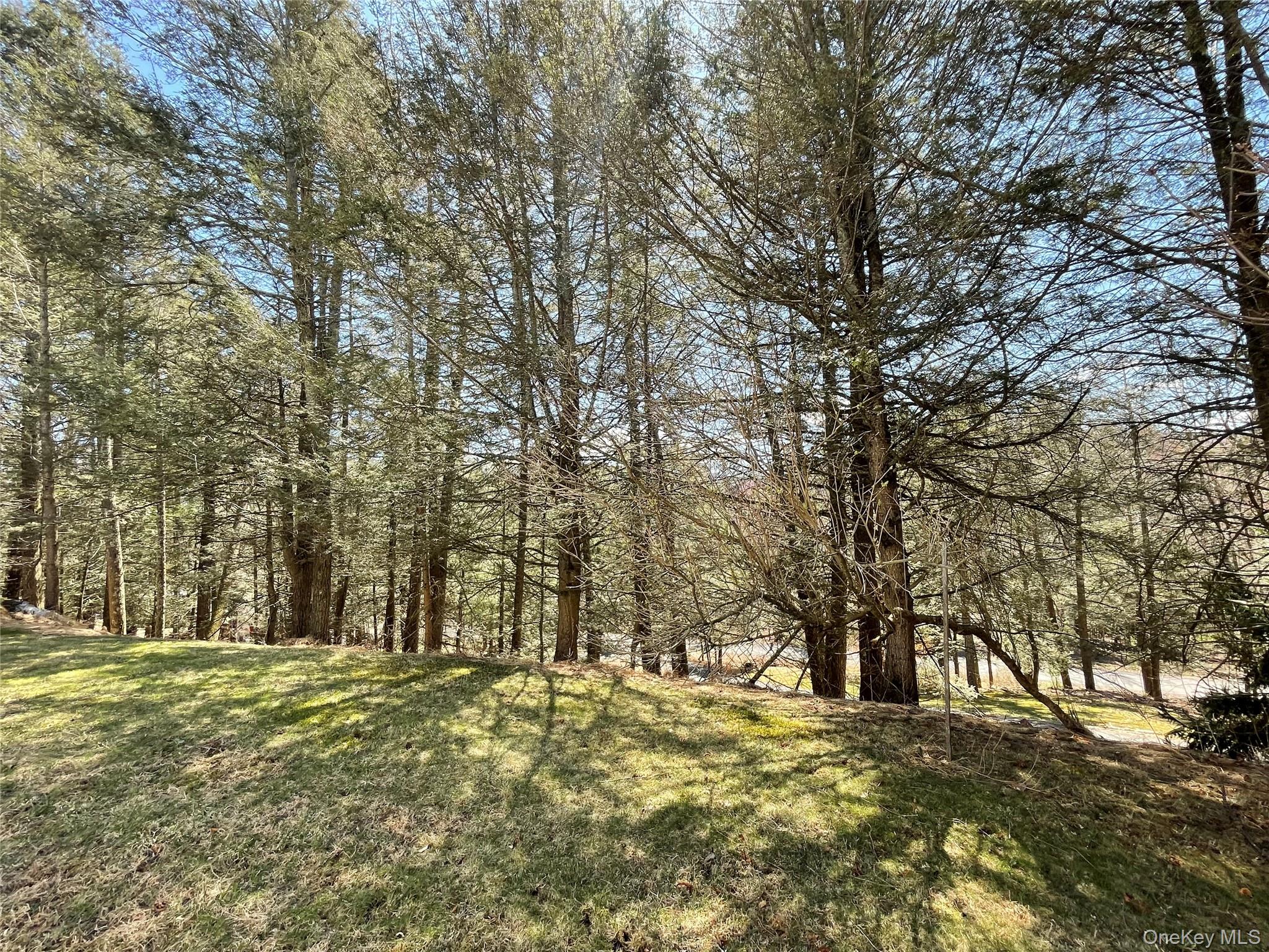 #9 photo, 58 Baker Road, Bearsville , NY 12409