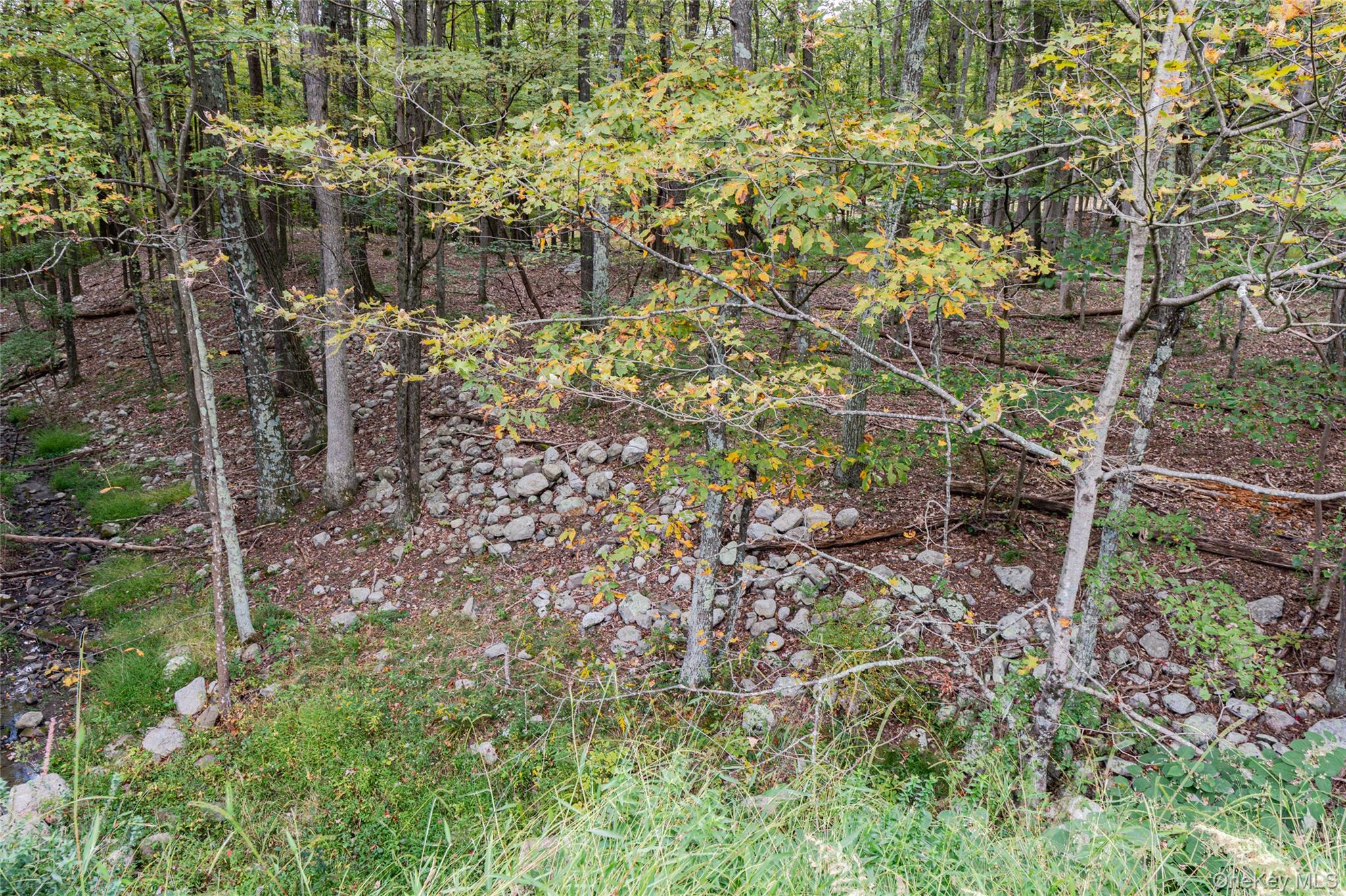 #10 photo, 598 S Mountain Road, Gardiner , NY 12525