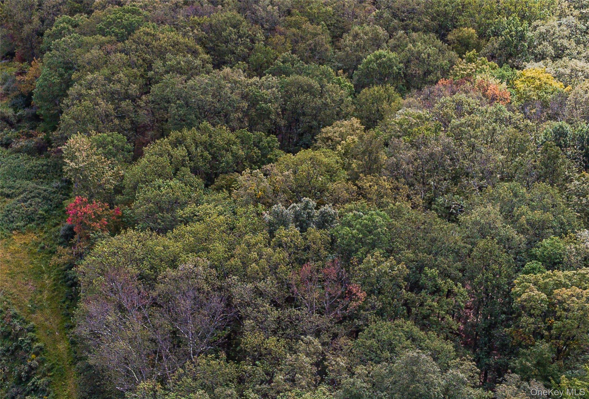 #12 photo, 598 S Mountain Road, Gardiner , NY 12525