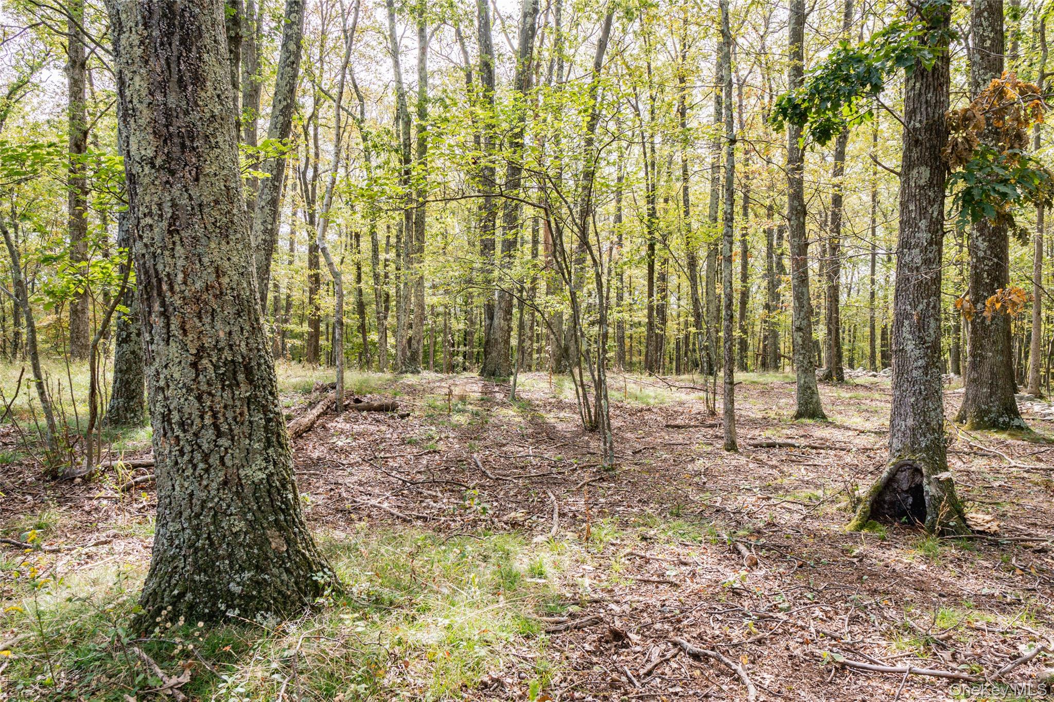 #2 photo, 598 S Mountain Road, Gardiner , NY 12525