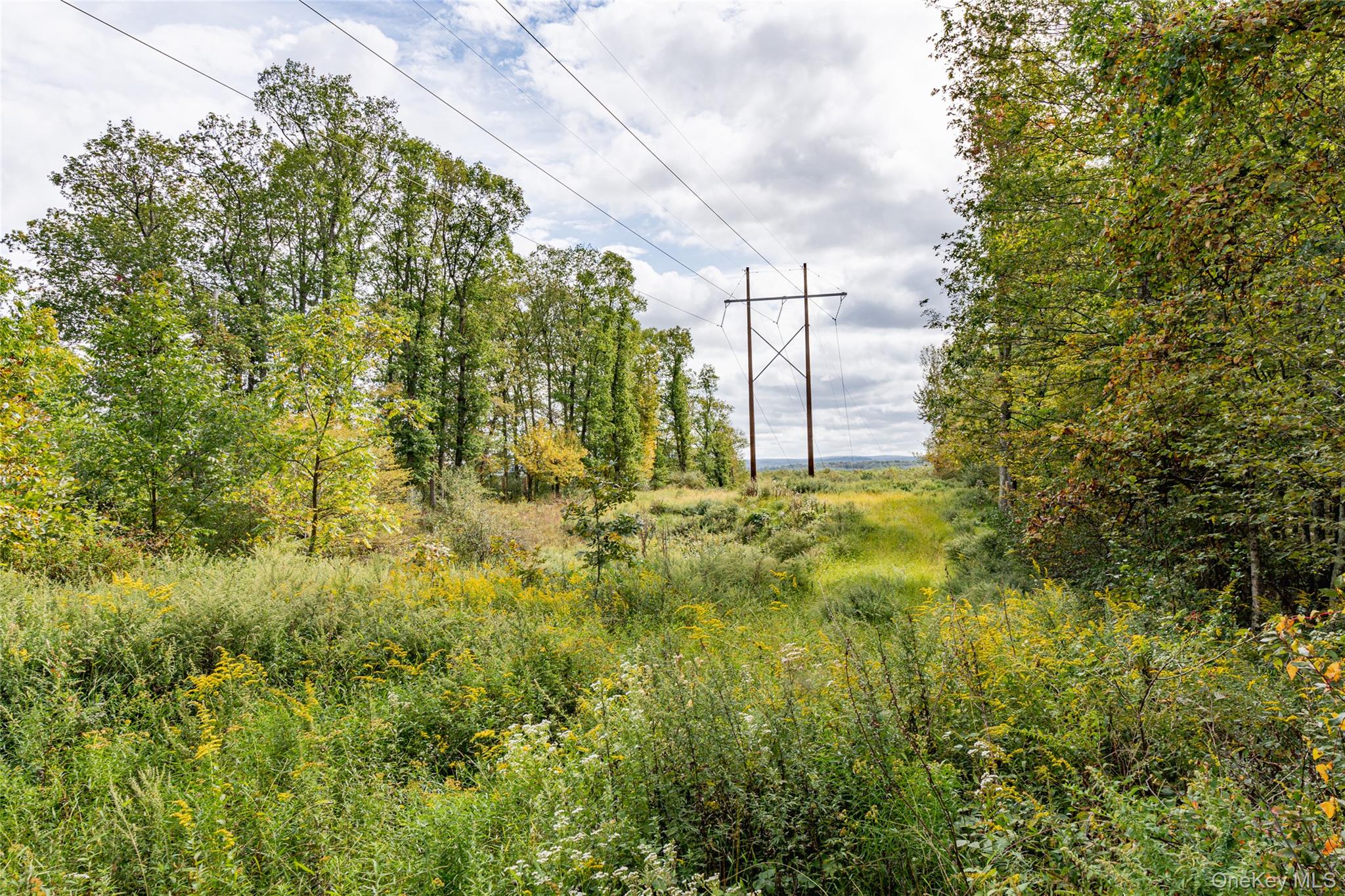 #3 photo, 598 S Mountain Road, Gardiner , NY 12525