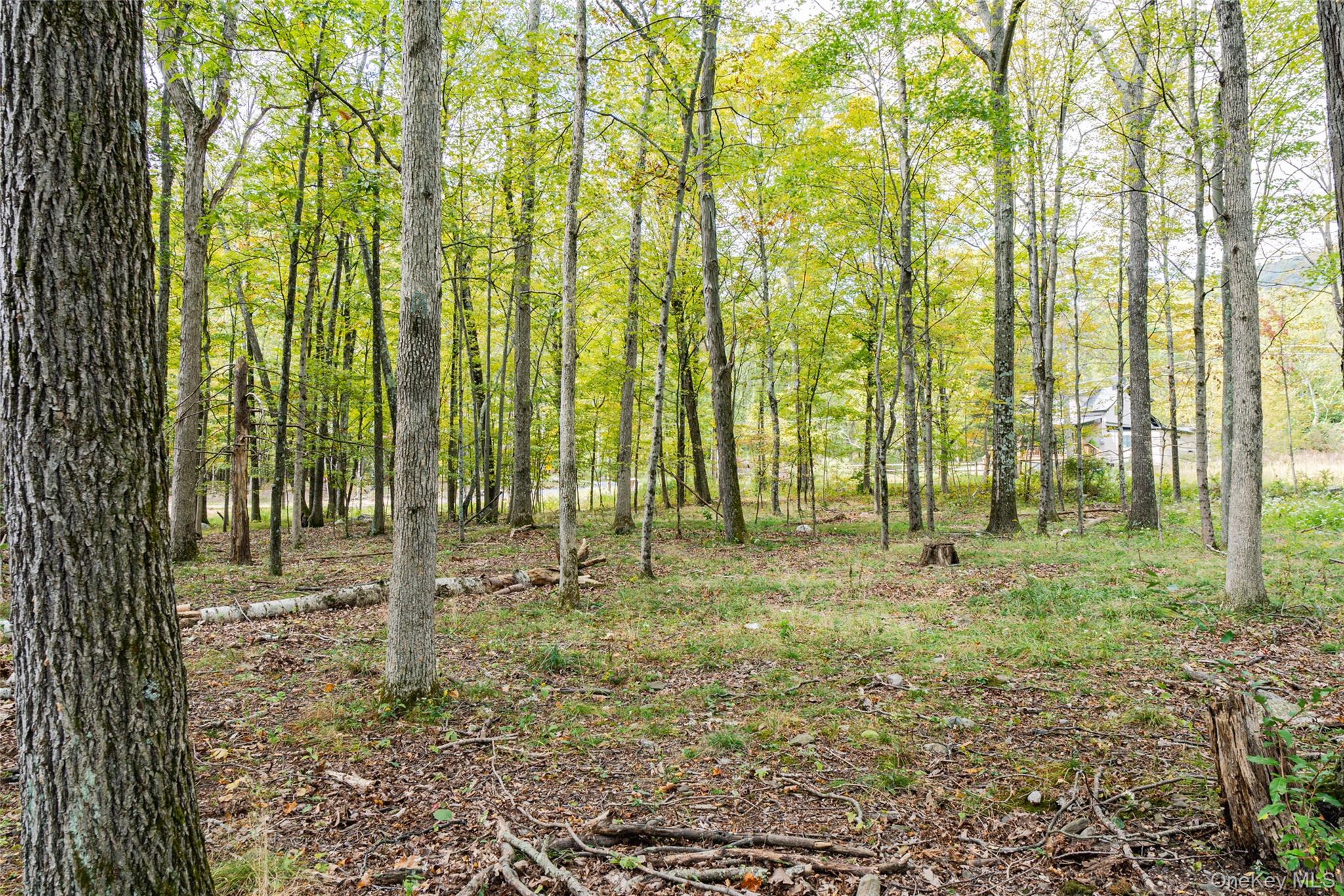 #5 photo, 598 S Mountain Road, Gardiner , NY 12525