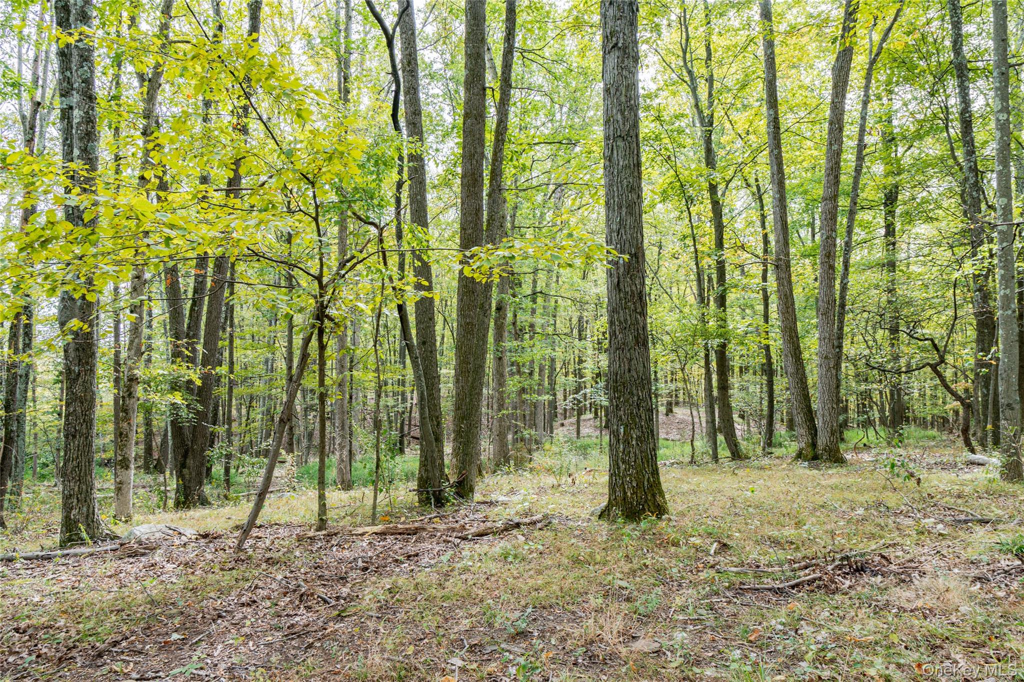 #6 photo, 598 S Mountain Road, Gardiner , NY 12525