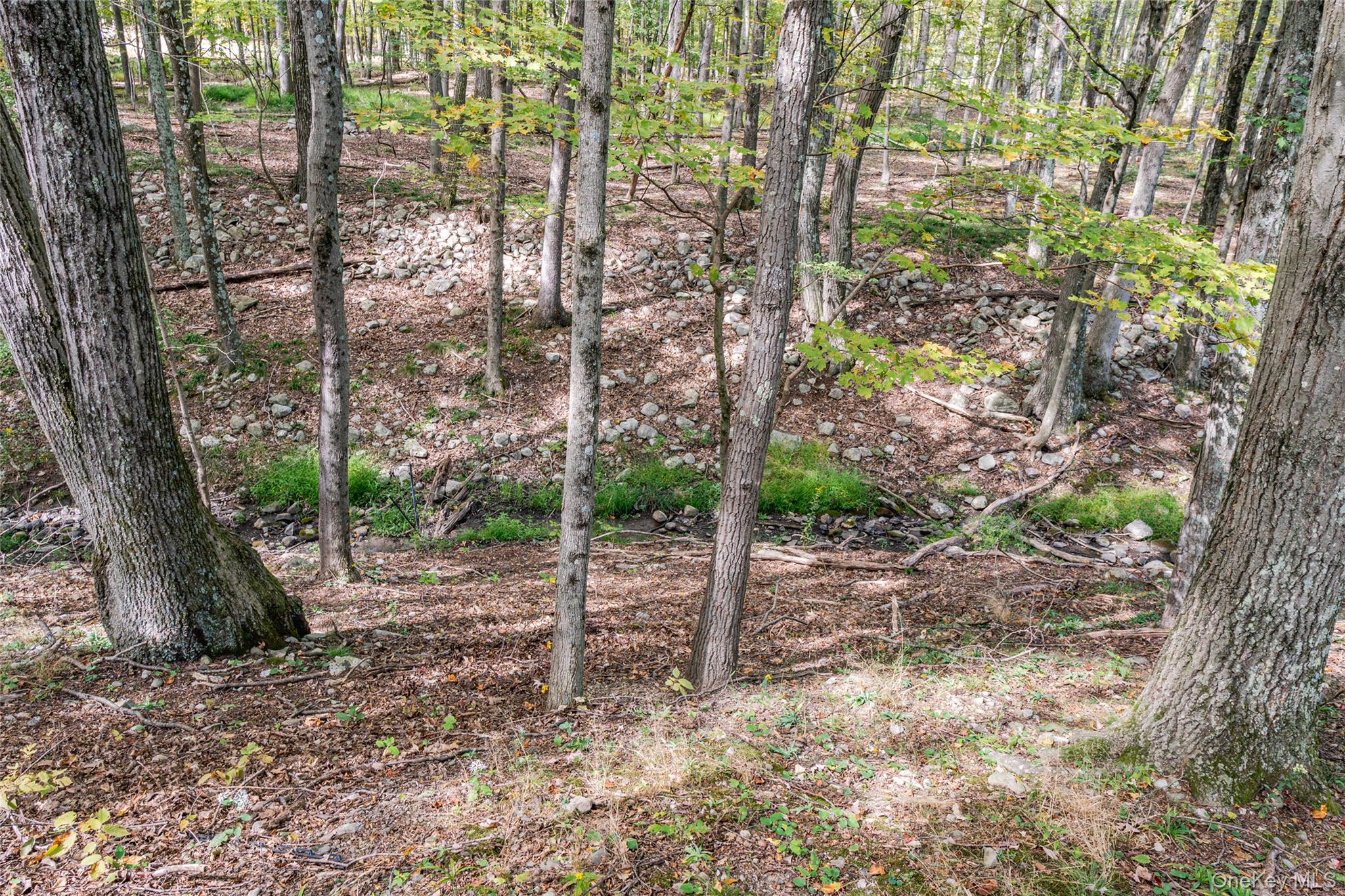 #7 photo, 598 S Mountain Road, Gardiner , NY 12525