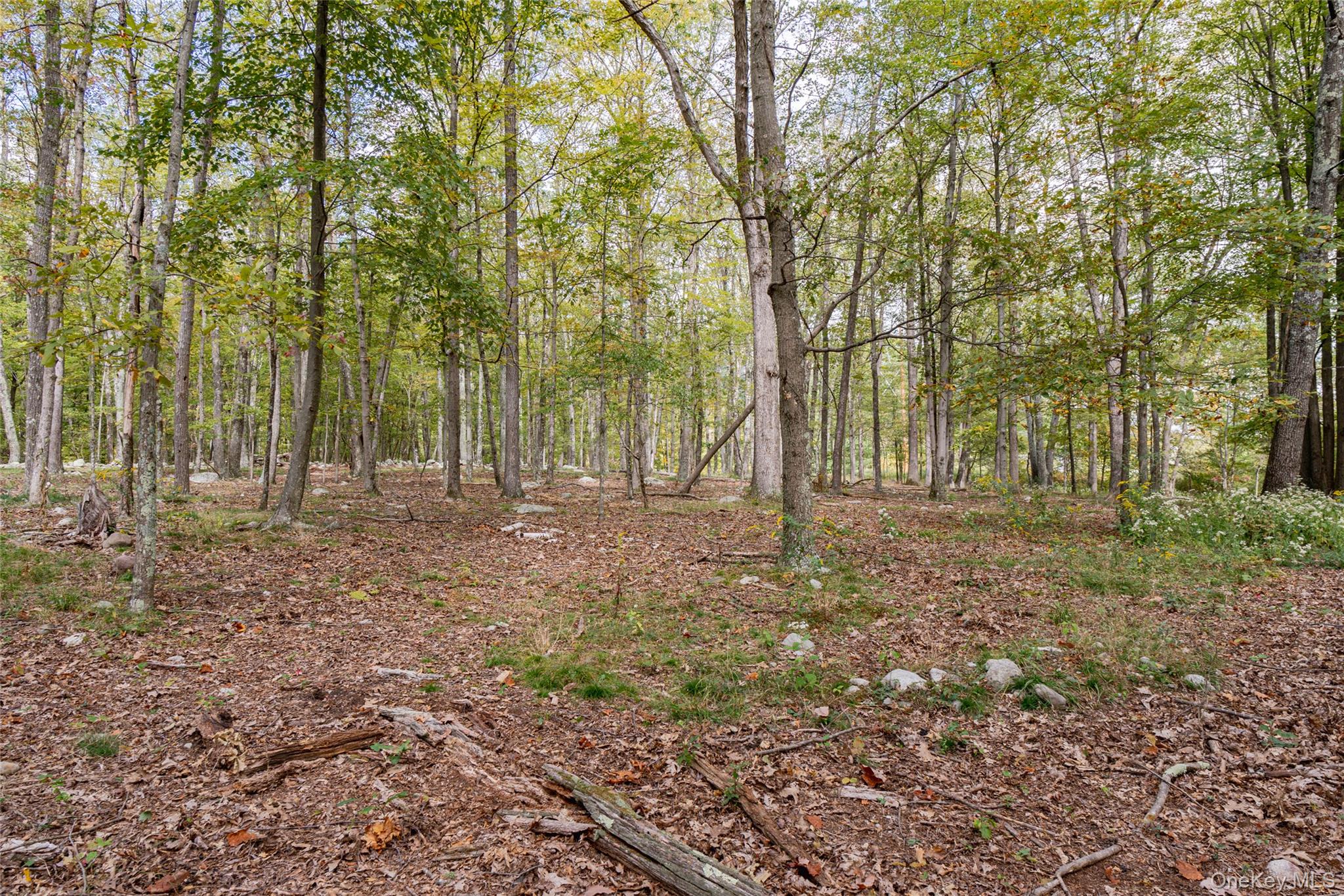 #8 photo, 598 S Mountain Road, Gardiner , NY 12525