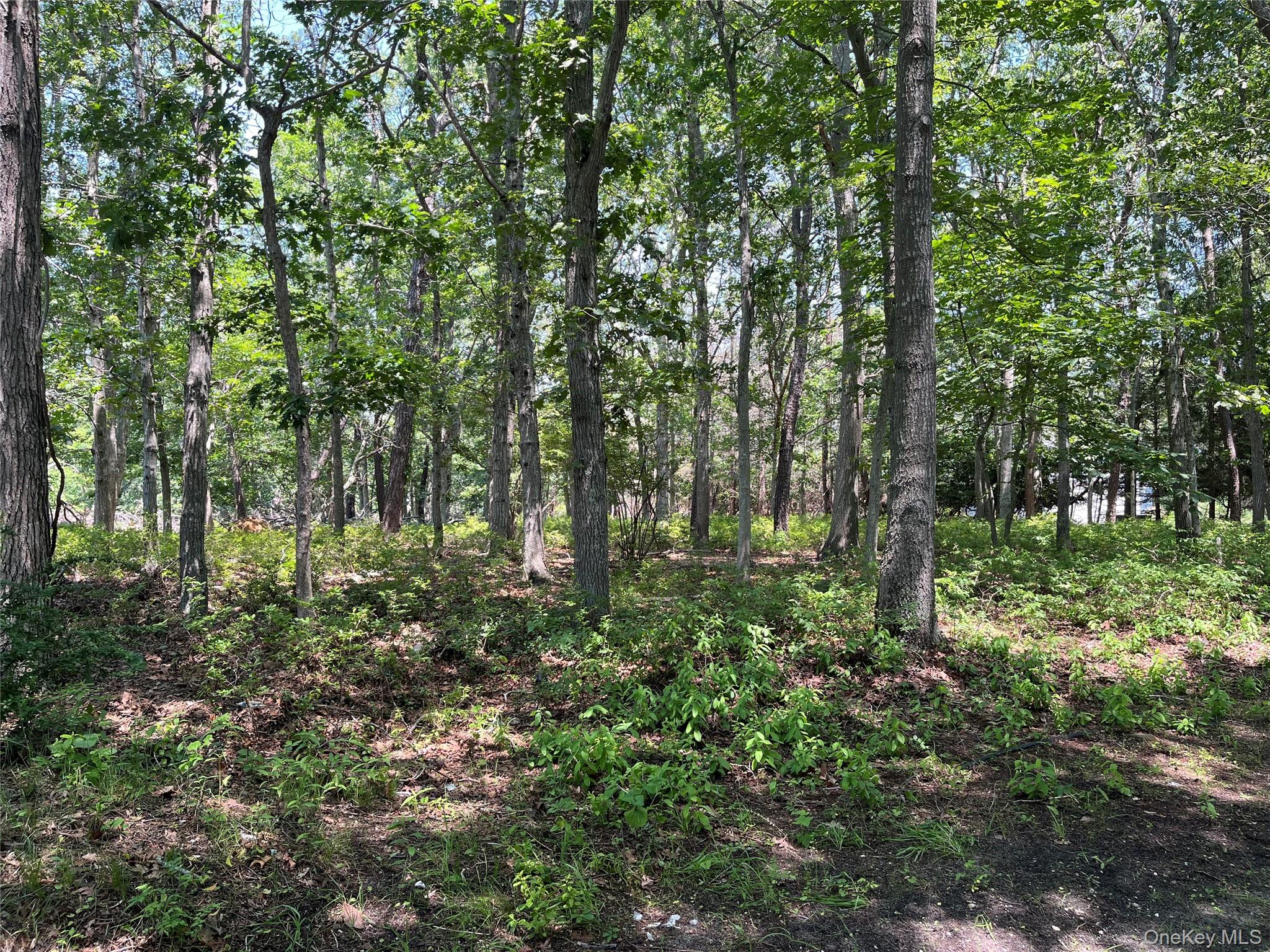 #3 photo, 75 Montauk Highway, サフォーク郡 Westhampton , NY 11977