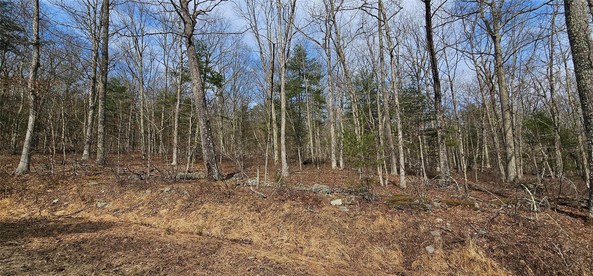 #10 photo, Lot 20.22 Woods Road, Barryville , NY 12719