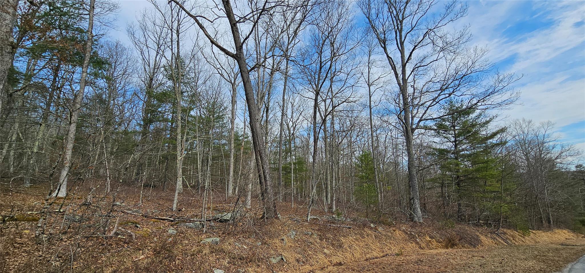 #13 photo, Lot 20.22 Woods Road, Barryville , NY 12719