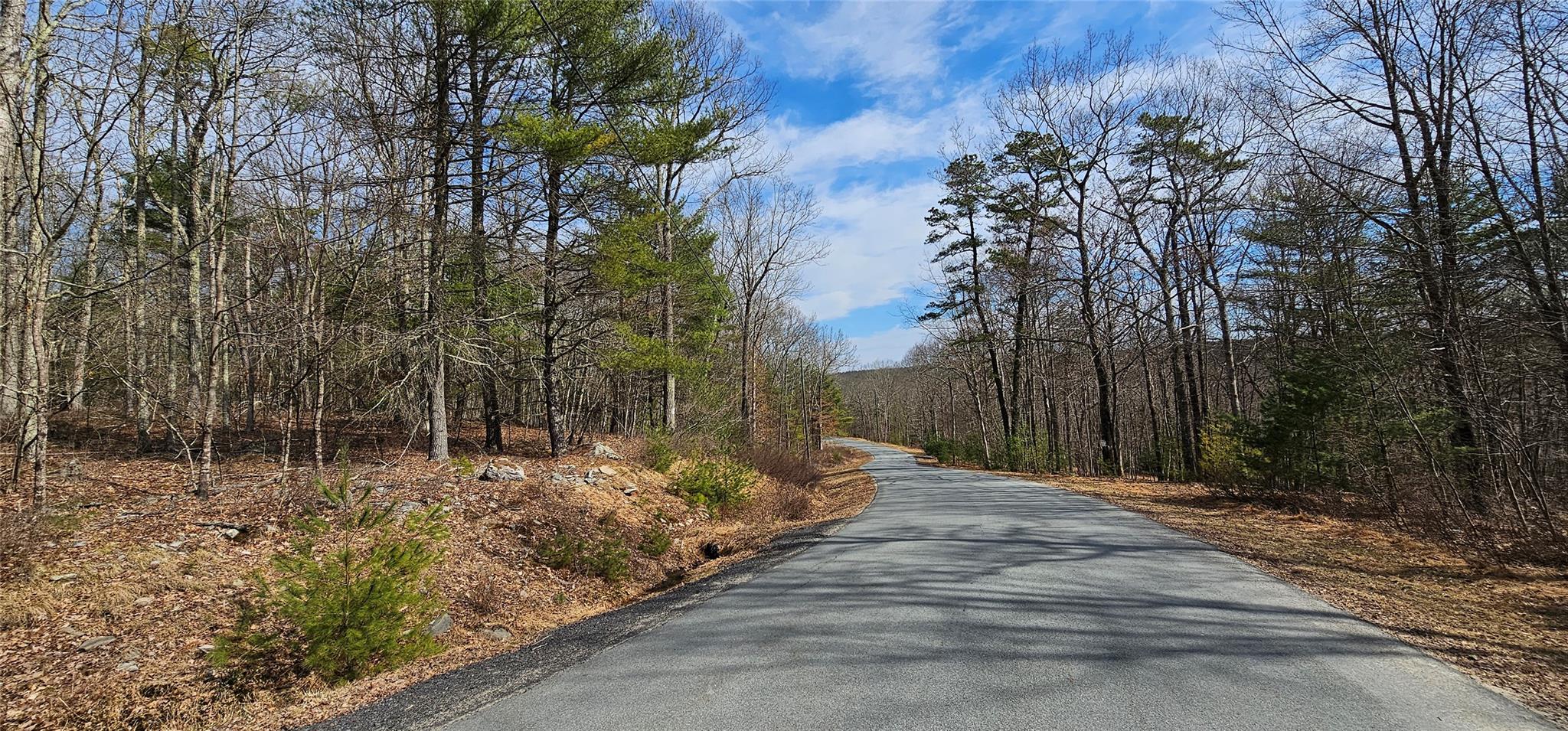 #4 photo, Lot 20.22 Woods Road, Barryville , NY 12719