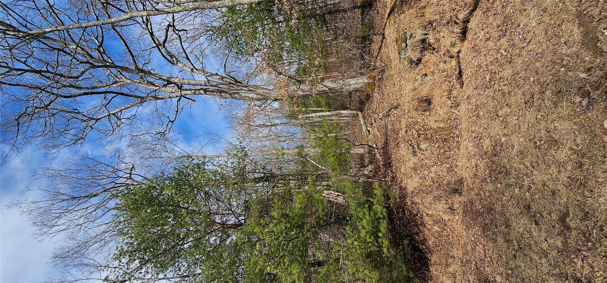 #5 photo, Lot 20.22 Woods Road, Barryville , NY 12719