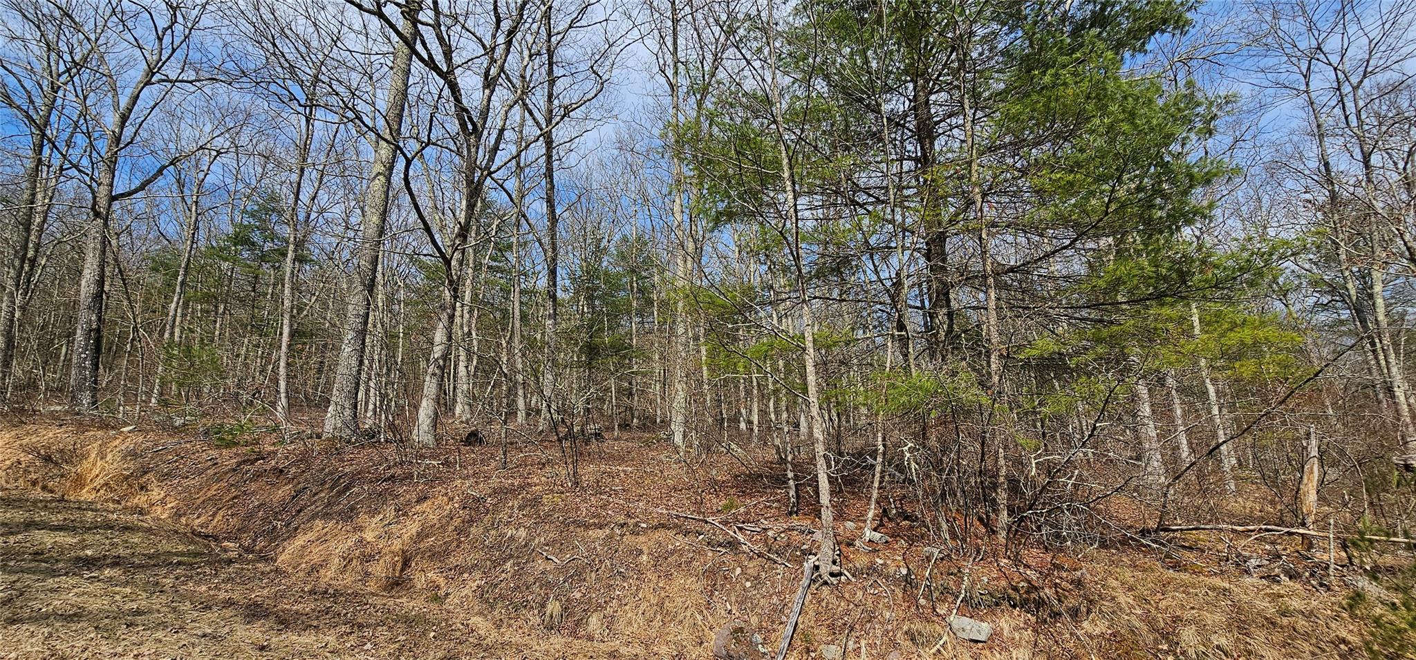 #9 photo, Lot 20.22 Woods Road, Barryville , NY 12719