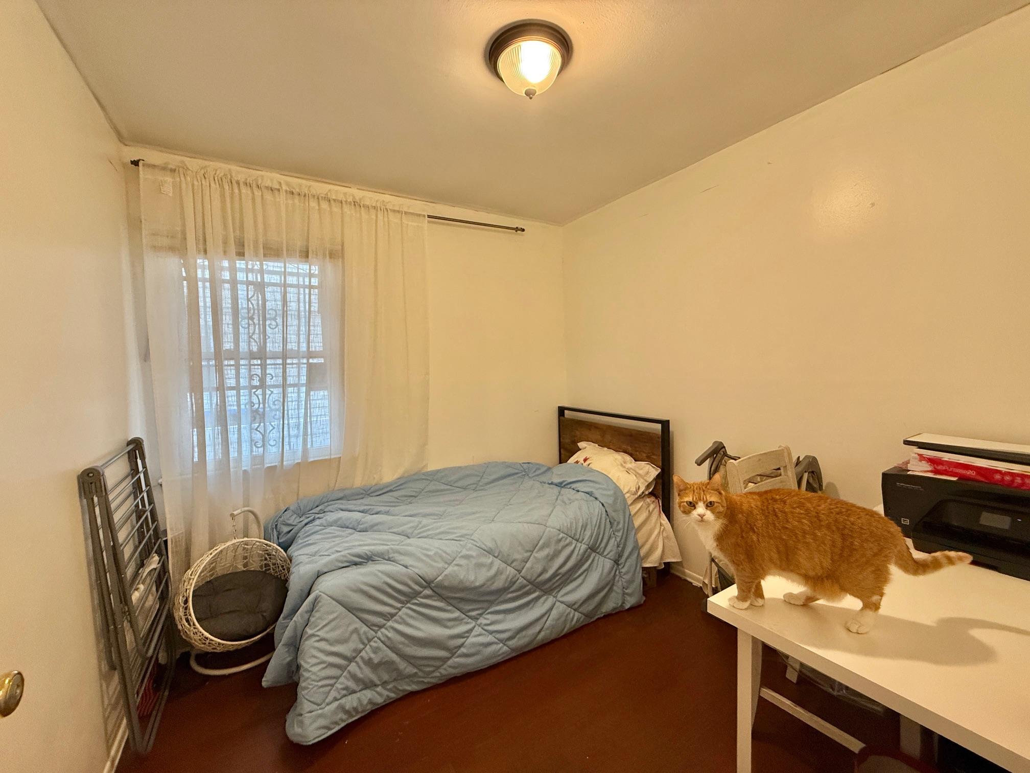 #19 photo, 16410 Foch Boulevard, クイーンズ区 Jamaica , NY 11434